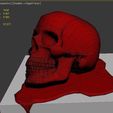 3-d-model-art-scull-3d-model-max-obj-mtl-fbx-stl-wrl-wrz (16).jpg 3D model Art scull 3D print model