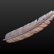 feather-003.png Feather