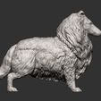 Collie8.jpg Collie 3D print model