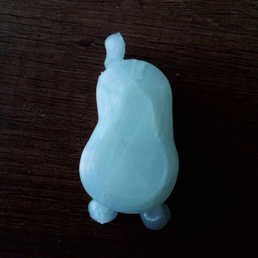 20220404_172151.jpg Gliederbirne