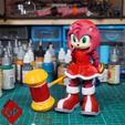 4.jpg Flexi Amy Rose - Sonic - Print In Place