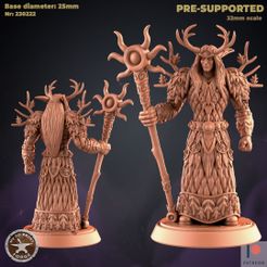 230222-Cenarion-Druid.jpg 3D-Datei Cenarion Elf Druide・3D-Drucker-Vorlage zum herunterladen
