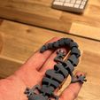 Articulated Lizard v2