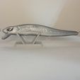 20230503_223730.jpg 3 inch shallow diving lure