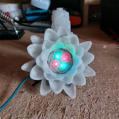 20230115_111846.jpg STL file luminous lotus flower・3D printing design to download