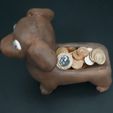 Cod241-Dog-Dachshund-Holder-17.jpeg Dog dachshund Holder