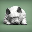 French-Bulldog5.jpg French Bulldog 3D print model