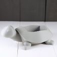 Turtle3.jpg Turtle Planter