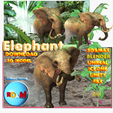 01-1200X1200-RGB-247-ELEPHANTS.png DOWNLOAD Elephant 3d model animated for blender-fbx-unity-maya-unreal-c4d-3ds max - 3D printing Elephant - Mammuthus - ELEPHANT