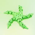 03.jpg Flexi Starfish