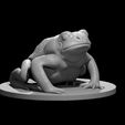 Giant_Toad_modeled.JPG Misc. Creatures for Tabletop Gaming Collection