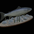salmo-salar-1-7.png Atlantic salmon / salmo salar / losos obecný fish underwater statue detailed texture for 3d printing