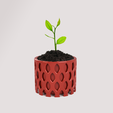 Foto 2.png Flower and nature plant pot for home decoration as a very nice natural decoration
