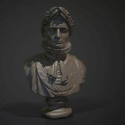 napo2.jpg Napoleon Bust Gallery 3D printable