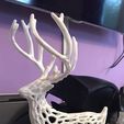 23472243_10214324996188158_9133310668144285596_n.jpg Voronoi Deer