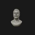 06.jpg Freddie Mercury 3D printable portrait