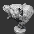 08.png Grizzly Bear Head AM06 3D print model