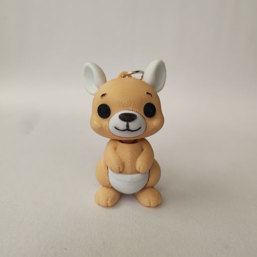 IMG20250721102144.jpg 🦘 KANGOUROU MIGNON FLEXI + PORTE-CLÉS