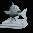 Dentex-trophy-41.png fish Common dentex / dentex dentex trophy statue detailed texture for 3d printing