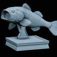Bass-trophy-30.png Largemouth Bass / Micropterus salmoides fish in motion trophy statue detailed texture for 3d printing