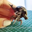 20231223_234923.jpg Mirelurk - Fallout creatures - high detailed even before painting