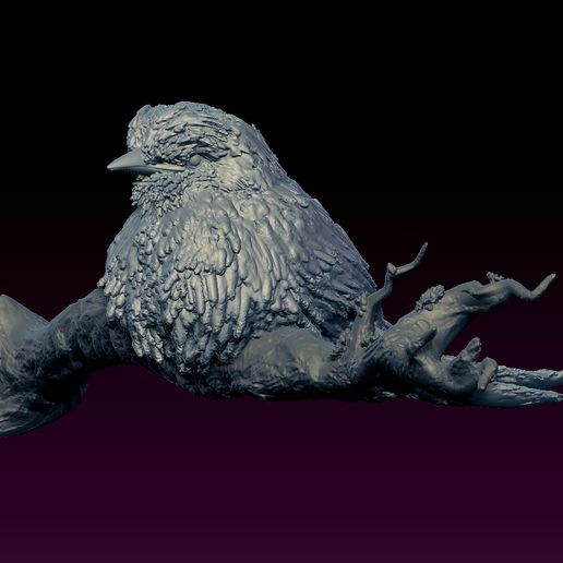 3d.jpg Bird on branch