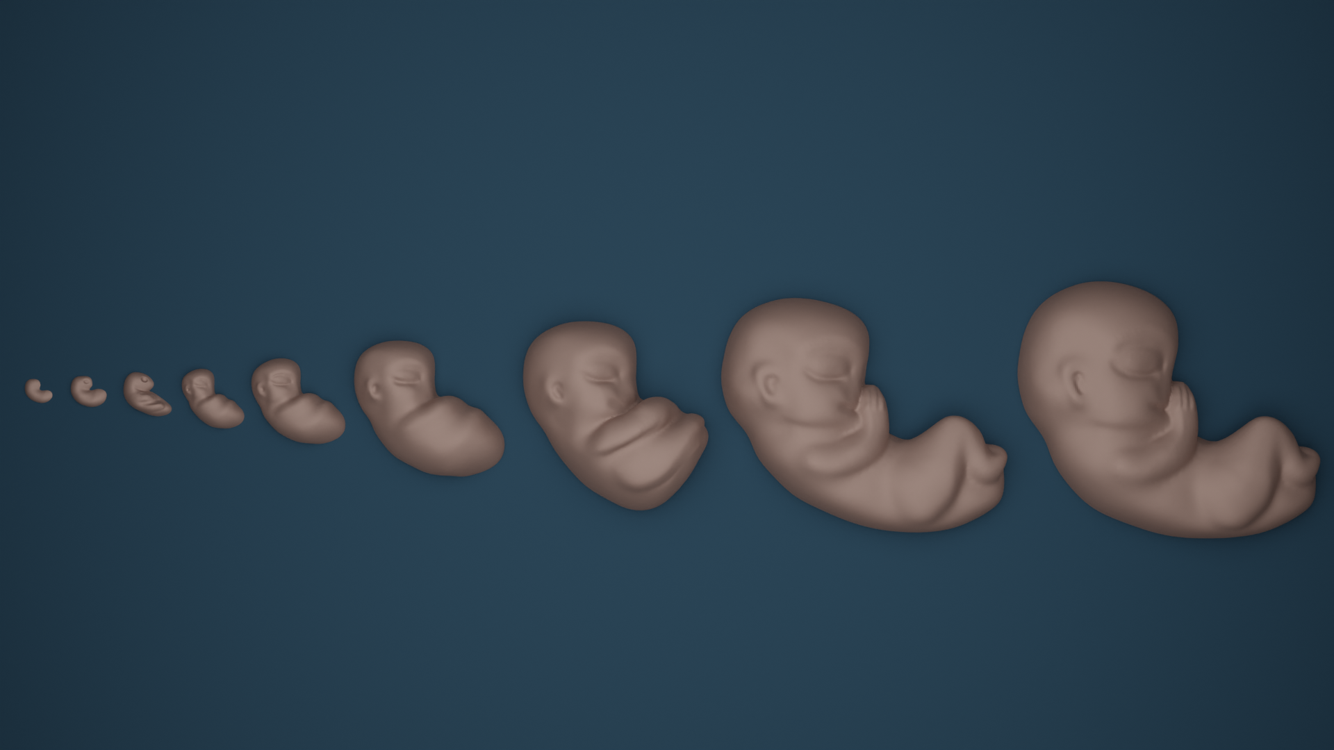 STL file fetus baby transformation set・3D print model to download・Cults