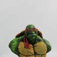 Buste TMNT (fan art)