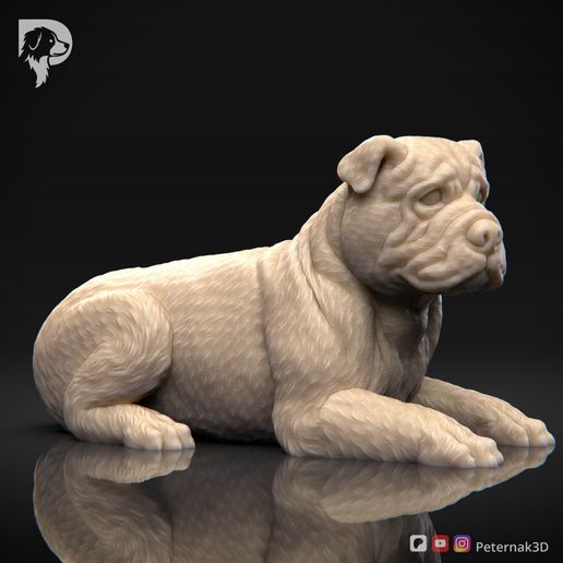 Bulldog-Pose-09-Dog-3D-Print-1s.jpeg Bulldog Dog 3D Print Model Pose 09