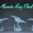 Eagle-rays-Front1.png manta ray pack