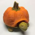 turtle_2.jpg Pumkin top for Squishy Turtle