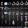 Human-Skeleton-IMM-Brushes-Sculpted-By-Yacine-BRINIS-Set-004.jpg Human Skeleton IMM Brushes