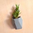 5.jpg Бесплатный STL файл Faceted Modular Wall Planter・3D-печатный объект для загрузки