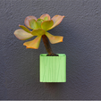 download-17.png 4” Planter