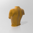 03.png 3D file Bust 06・3D printer design to download