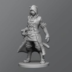b6b7641ca6af4f8684c53bab48d2c2c3_display_large.jpg Free STL file Cat Rogue・Template to download and 3D print