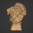 I8.jpg Low Poly Lion Bust