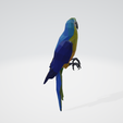 3.png Low Poly Parrot - Low Poly Parrot