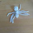 IMG_20231008_154153.jpg Spider low poly print in place