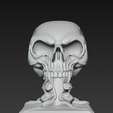 lqT@-shsh@-2025-10-06-181734.png skull bust