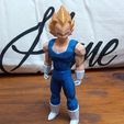 2c7f26ee-da91-41c1-921d-2501bee4aa95.jpg Vegeta action figure 1.0