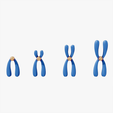Chromosomes_Tumbnail.png Types of Chromosomes