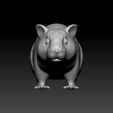 hams3.jpg Hamster - hamster 3d model for 3d print