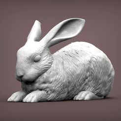 rabbit1.jpg 3D-Datei Kaninchen 3D-Druckmodell・3D-Druck-Idee zum Herunterladen, akuzmenko