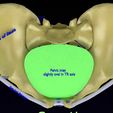 pelvis-types-hip-bone-labelled-detailed-3d-model-c3ec98ee17.jpg Pelvis types hip bone labelled detailed 3D model