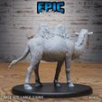 5453-Camel-Large-2.jpg Chameau ‧ DnD Miniature ‧ Tabletop Miniatures ‧ Gaming Monster ‧ 3D Model ‧ RPG ‧ DnDminis ‧ STL FILE