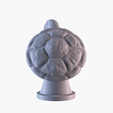 T05.png Tartaruga