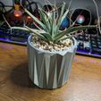 5334_0.jpg Geometric Shape-Succulent Plant Pot Design