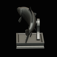 common-carp-trophy-2-2-1-33.png COMMON CARP (CYPRINUS CARPIO) fish in motion trophy statue detailed texture for 3d printing