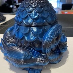 Jardinière Dragon, Boîte de rangement Dragon